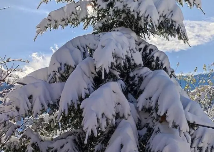 Chepelare Holiday Guest House Gasthof Tschepelare